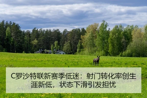 C罗沙特联新赛季低迷：射门转化率创生涯新低，状态下滑引发担忧